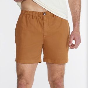 Chubbies dark khaki shorts LG